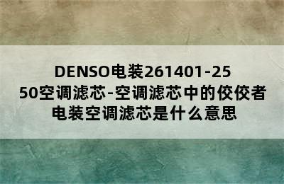 DENSO电装261401-2550空调滤芯-空调滤芯中的佼佼者 电装空调滤芯是什么意思